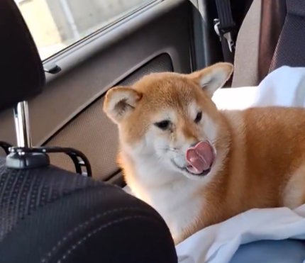 手を離すと