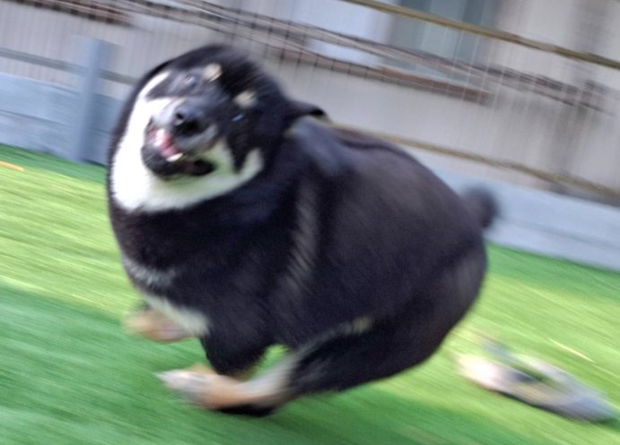 まん丸