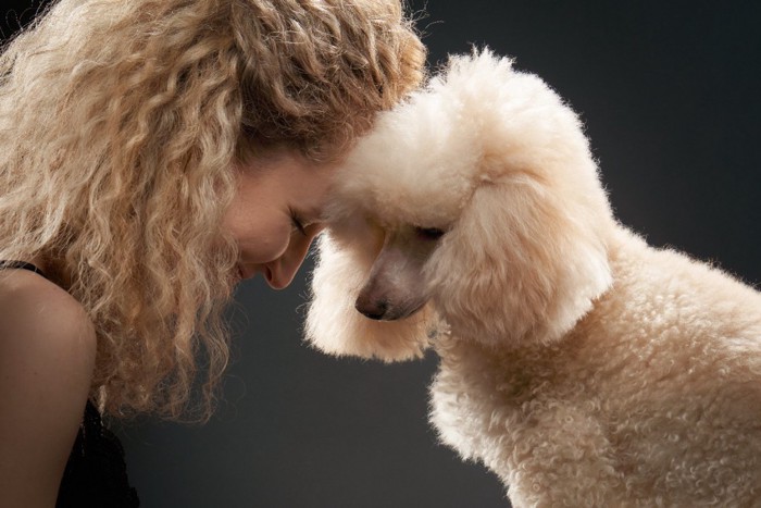 犬とおでこをくっつける女性