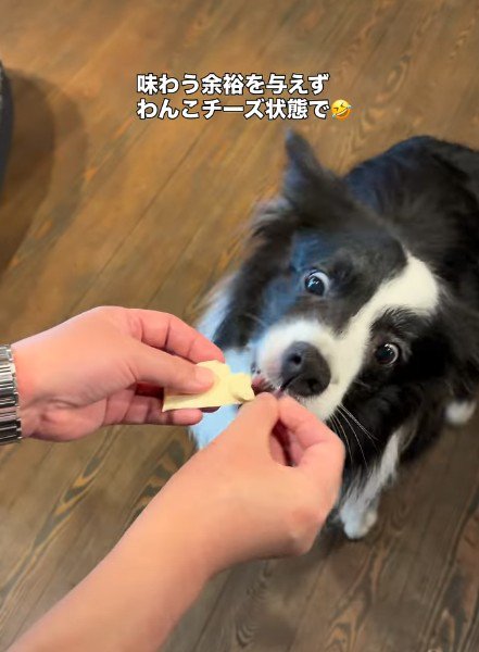 ペロリと食べちゃった!