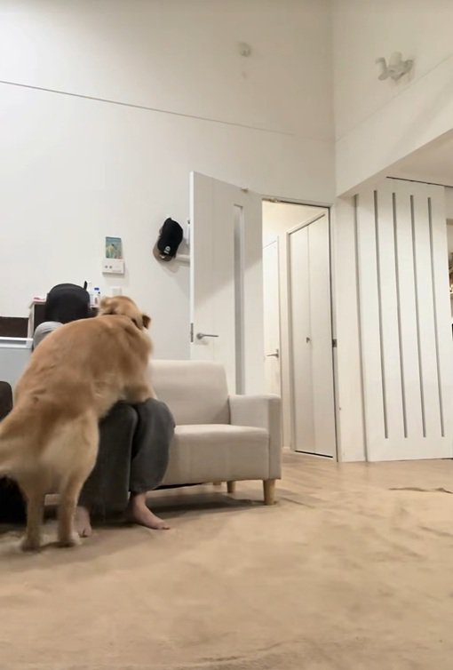 ハナコちゃんとお姉ちゃんの再会⑩