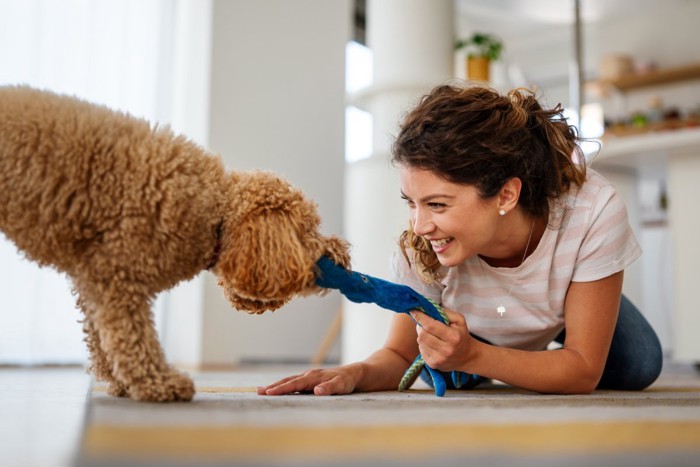 犬と遊ぶ女性