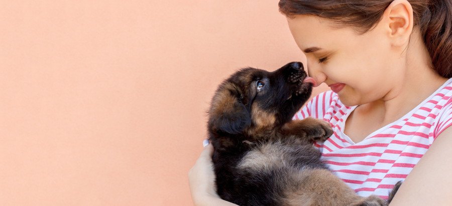 女性の顔を舐める子犬