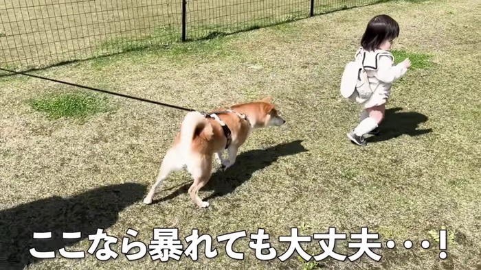 お外遊びが大好きなみいちゃん