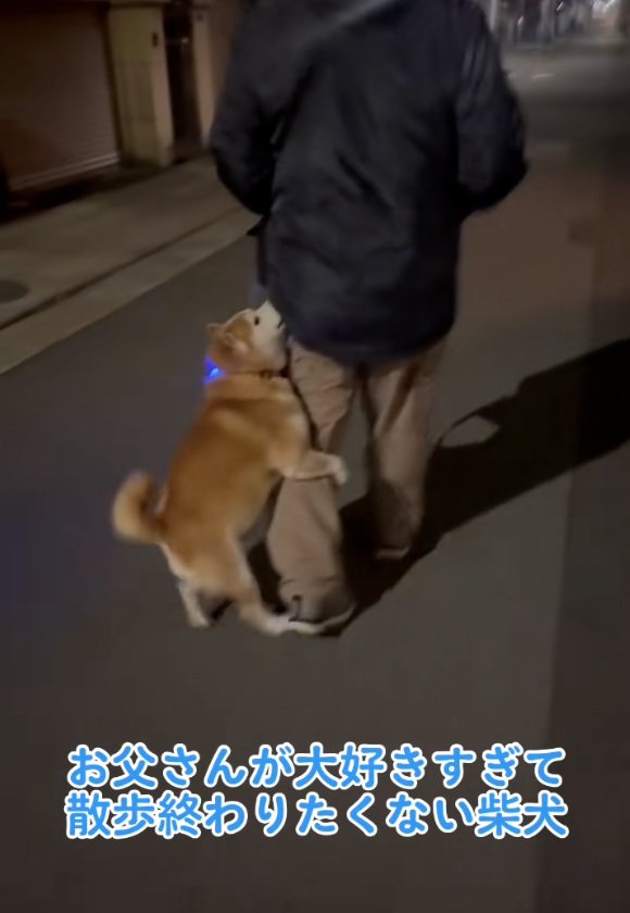 飛びついたまま歩くロンくん