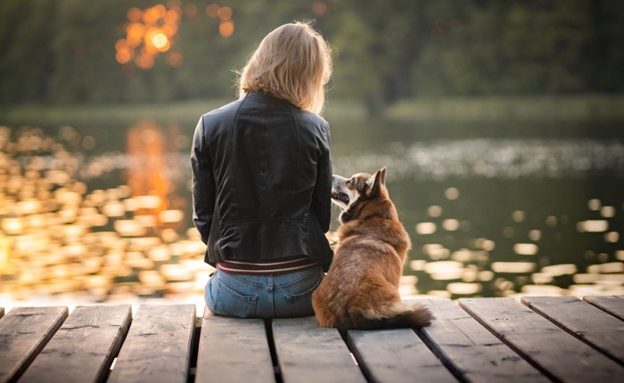 寄り添って座る犬と女性