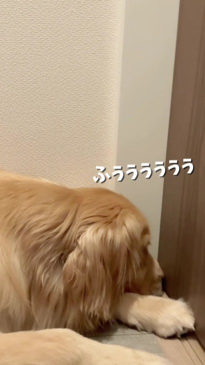 「ふううう」