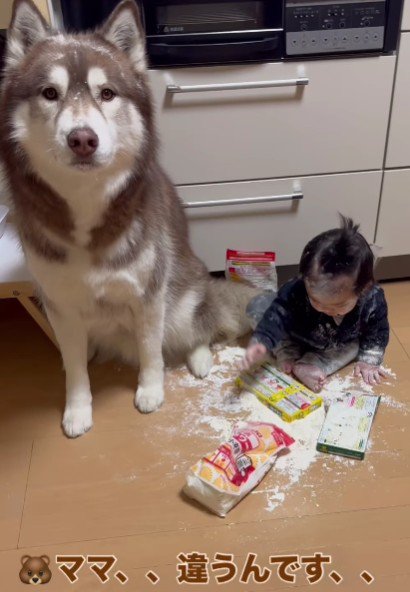 「事情があるんです…」