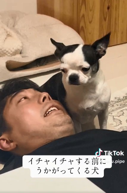 ゴーサインを出すパパ