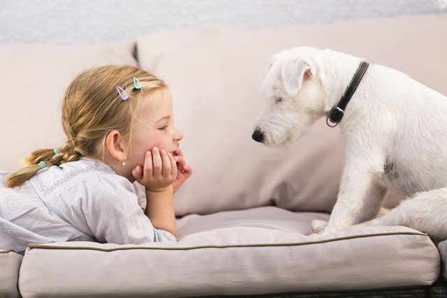 犬と女の子