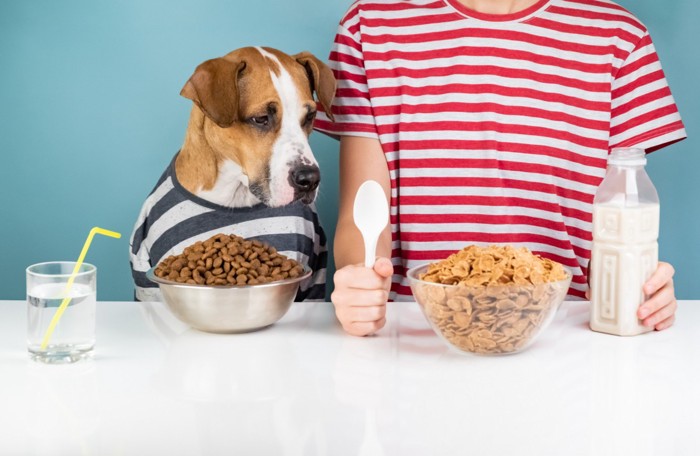 人の食事がほしい犬