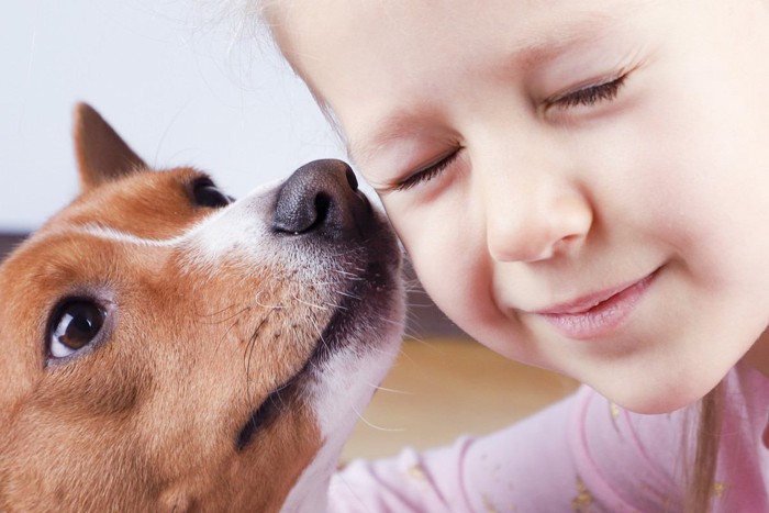 少女の顔のにおいをかぐ犬