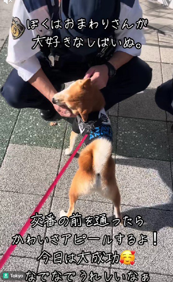 散歩中に交番の前を通ったら…