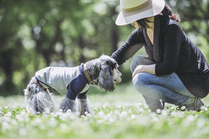 服を着た犬と帽子の女性