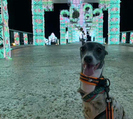 体調はみるみる回復！