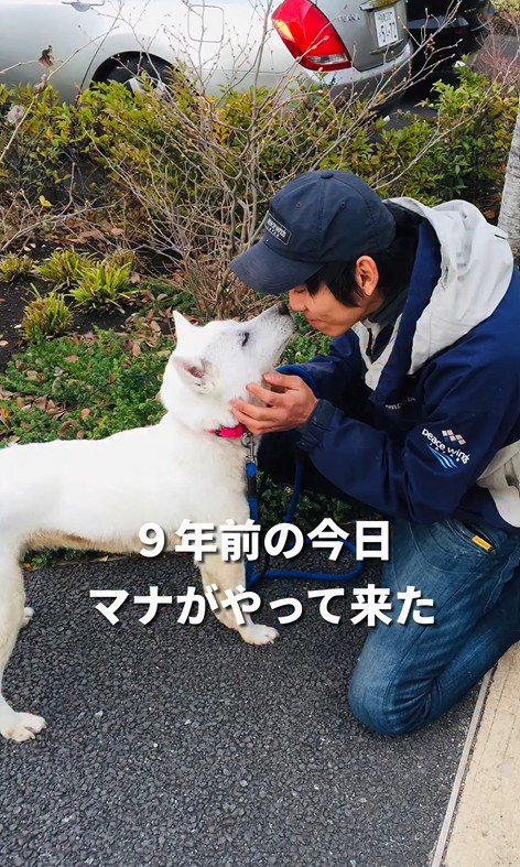 マナちゃんの現在までの軌跡