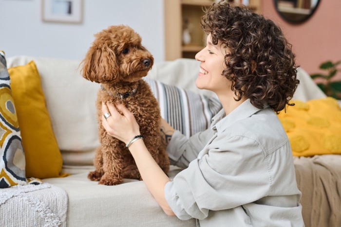 犬に触れる女性