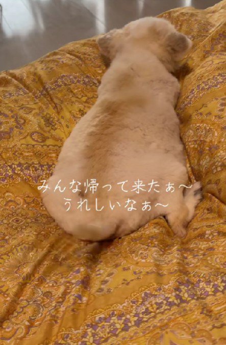 家族がそろうと幸せだね♡