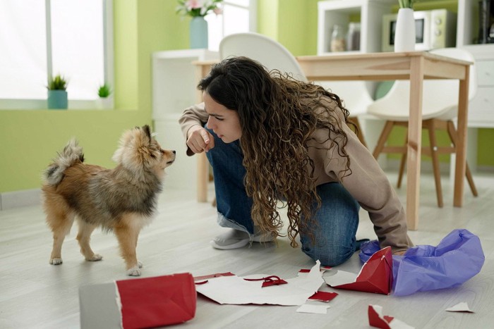 子犬を叱る女性