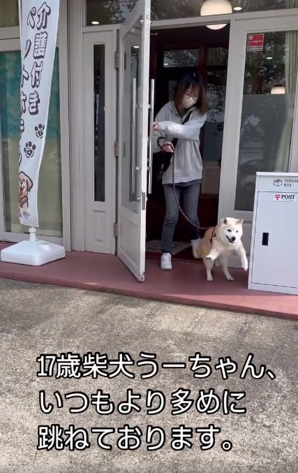 扉から出てきたうーちゃん