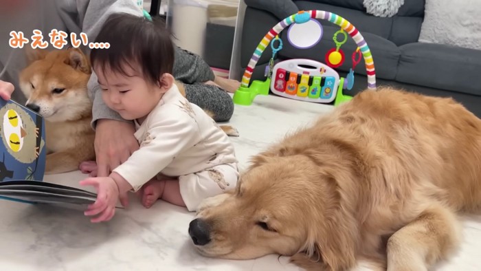 「見えない…」