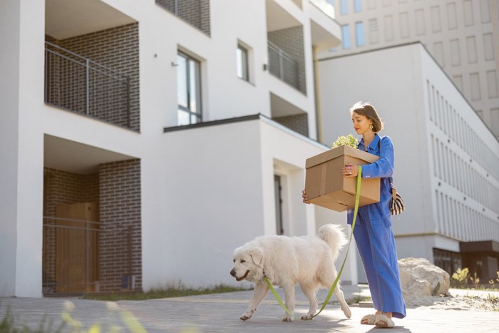 建物の外を歩く女性と犬