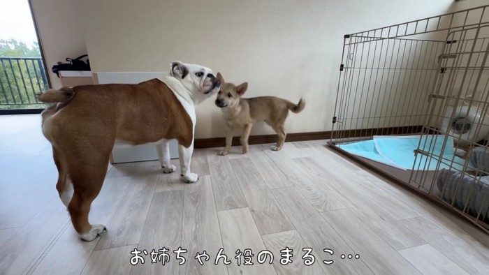 すぐに仲良くなれそう！