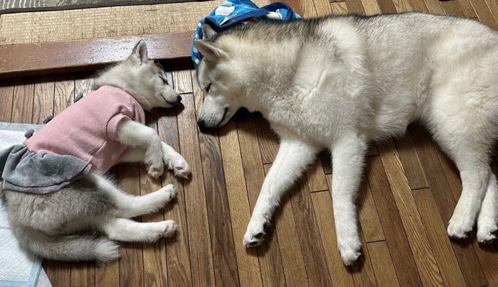 仲良し