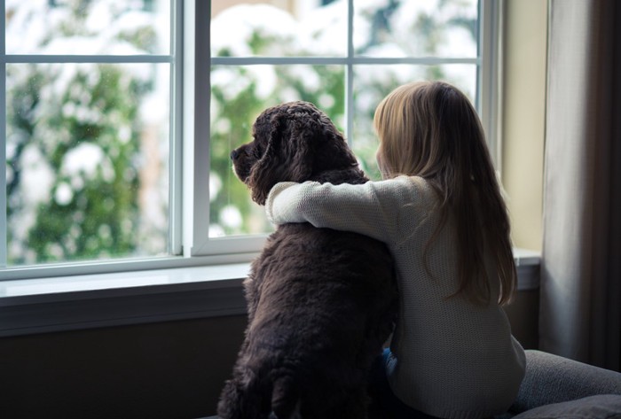 窓の外を見る犬と女の子