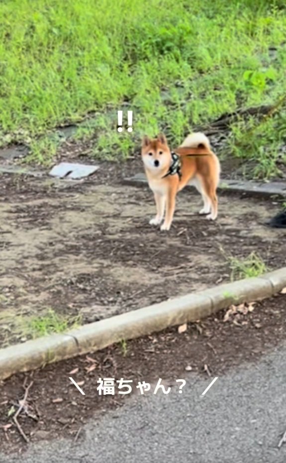 名前を呼ばれた福ちゃん