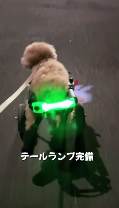 テールランプも付いてるよ♪
