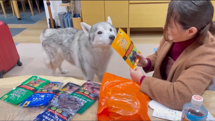 テーブにおやつを並べている女性と、おやつの匂いを嗅ぐ犬