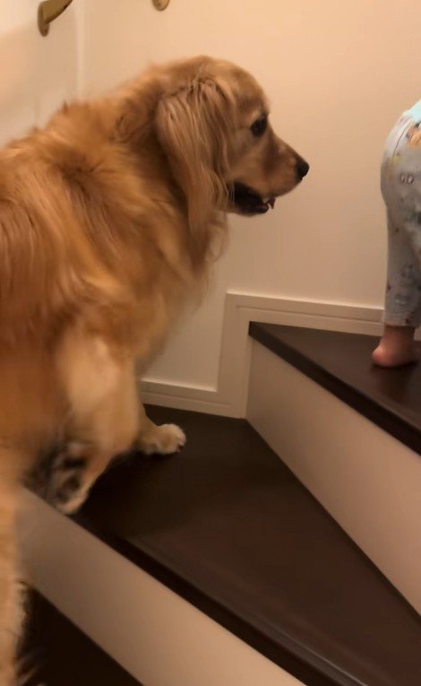 階段を登る男の子とラビーくん5