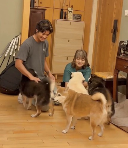 家族のそばに集まる4匹の犬
