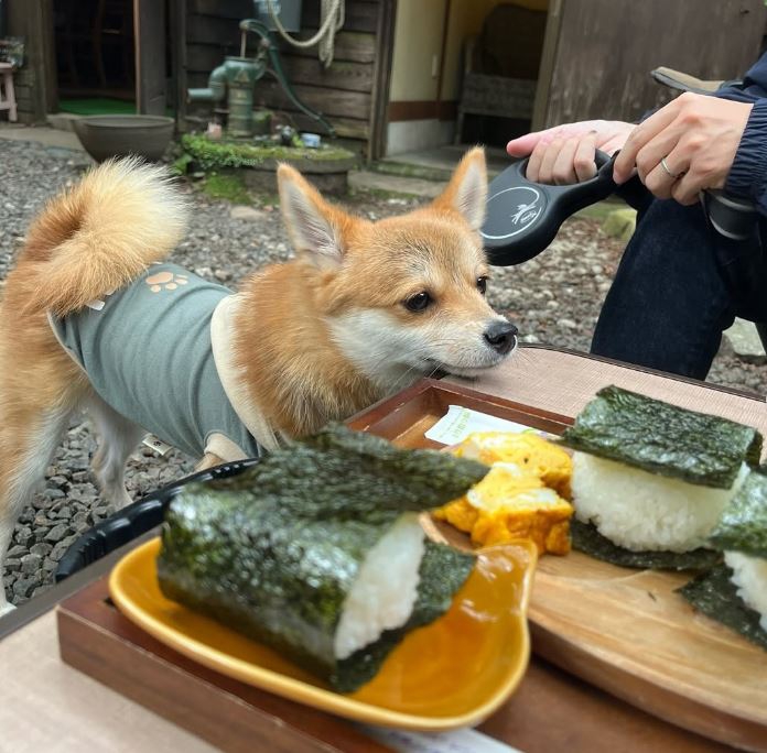 食べ物に囲まれて素敵な一枚