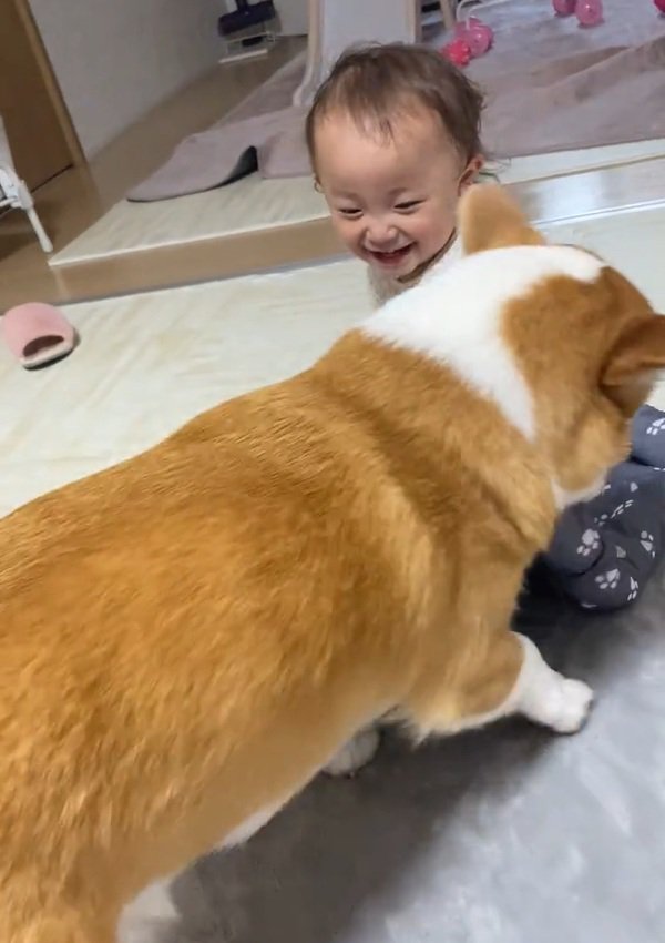 お姉ちゃんとこた君