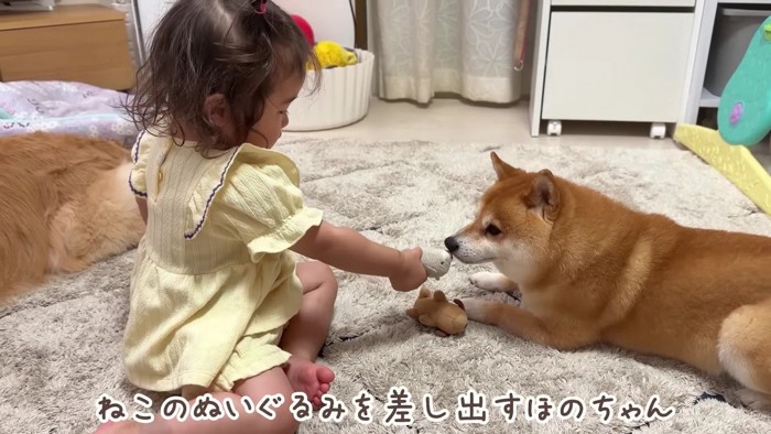 「これと交換しよう」