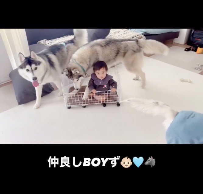 みんなお利口さん