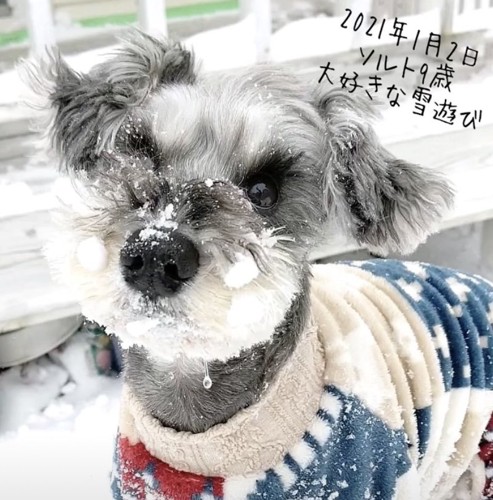 瞳がキラキラ