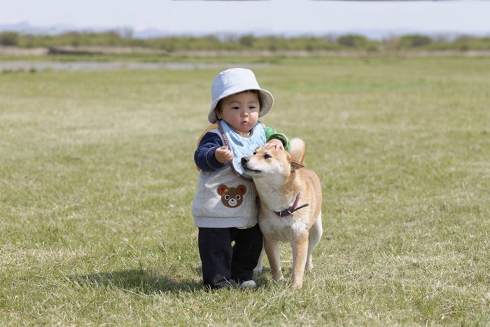 赤ちゃんと柴犬