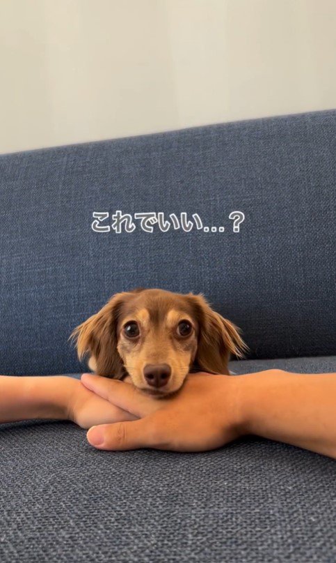 ティアちゃんの手を重ねるチャレンジ7