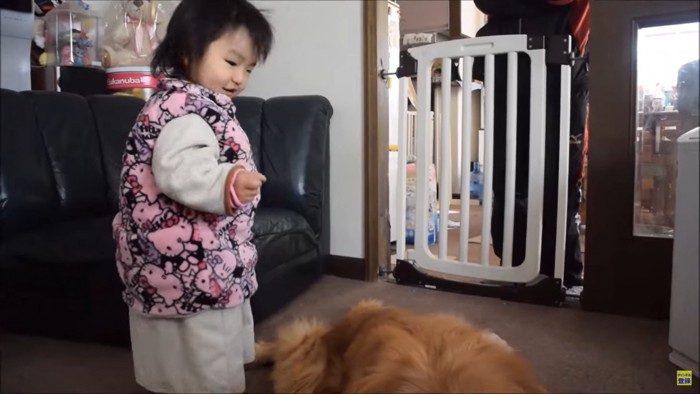 子どもと犬の背中