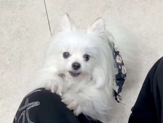 「もしかして注射…？」