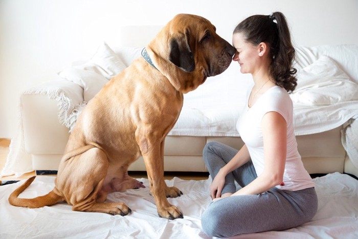 女性と大型犬