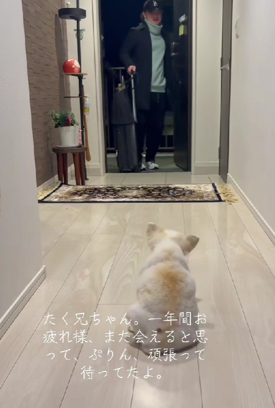 大好きなお兄ちゃん！