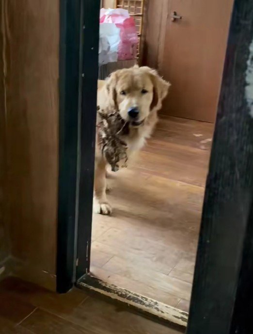 「こんなに素敵なのに…?」