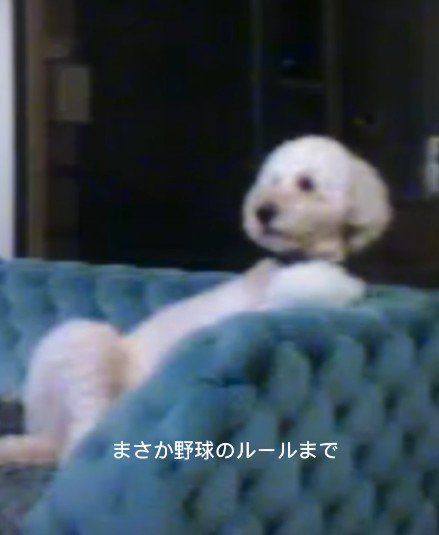 完全に休日のお父さん