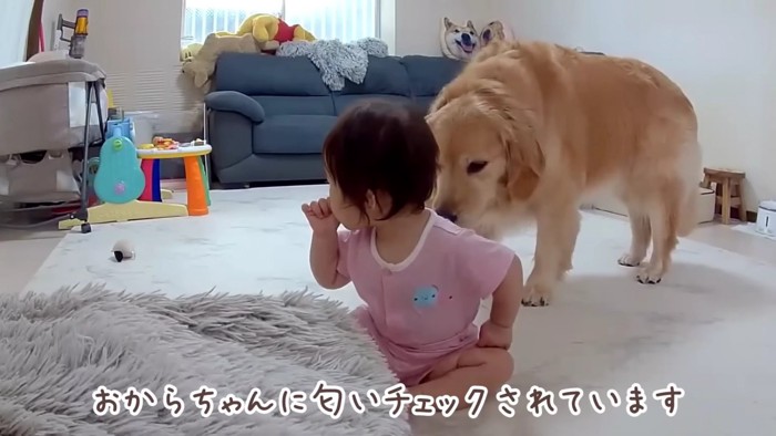ほのちゃんを気に掛けるおからちゃん
