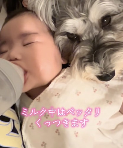 赤ちゃんにピタッ