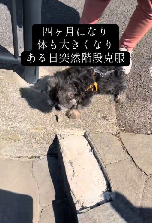 1ヶ月後、階段の前にくると…